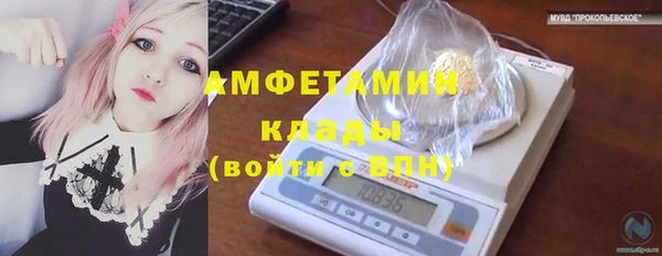 apvp Алзамай