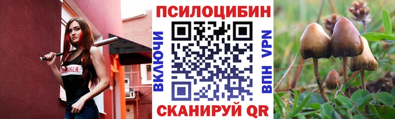 Псилоцибиновые грибы ЛСД  как найти   Гвардейск 